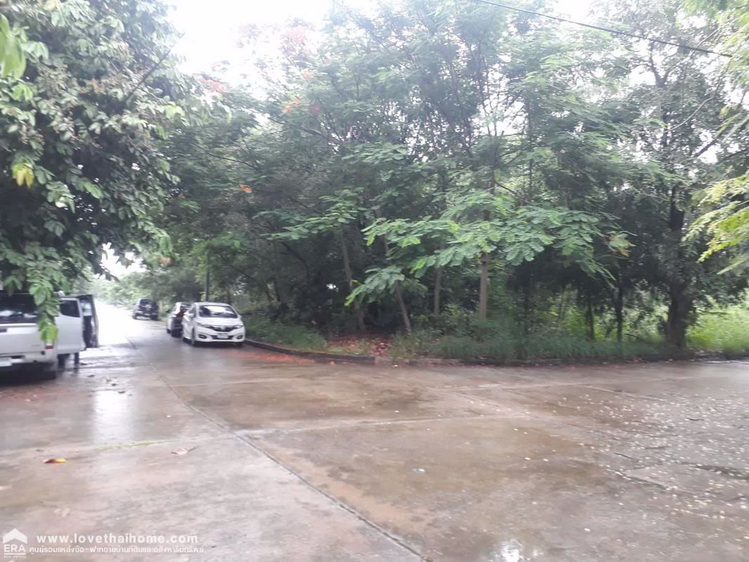 ขายที่ดินถมแล้วถนนเอกทักษิณ-หมู่บ้านเมืองเอกรังสิต-ย่านปทุมธานี